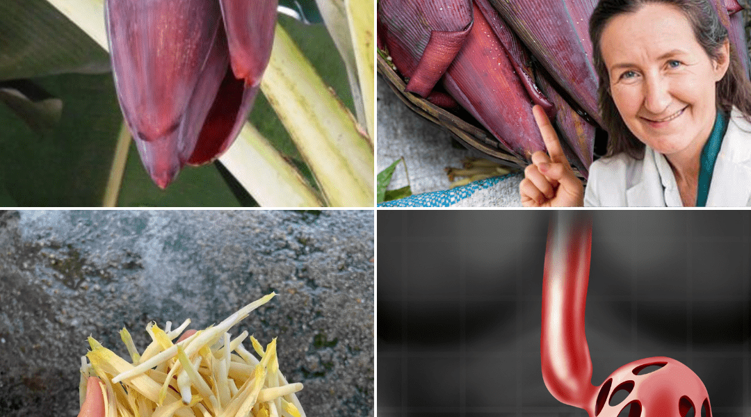 A Culinary Treasure Packed with Health Benefits A Culinary Treasure Packed with Health Benefits