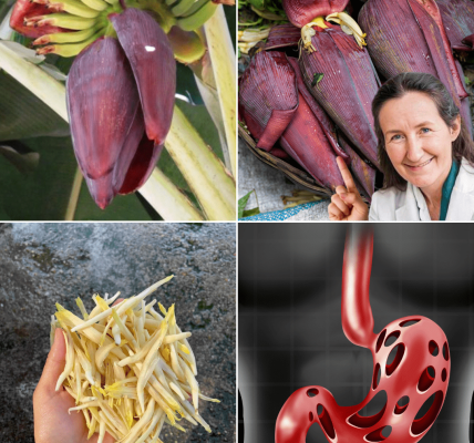 A Culinary Treasure Packed with Health Benefits A Culinary Treasure Packed with Health Benefits