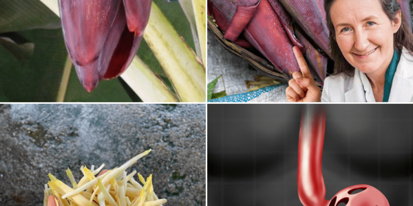 A Culinary Treasure Packed with Health Benefits A Culinary Treasure Packed with Health Benefits