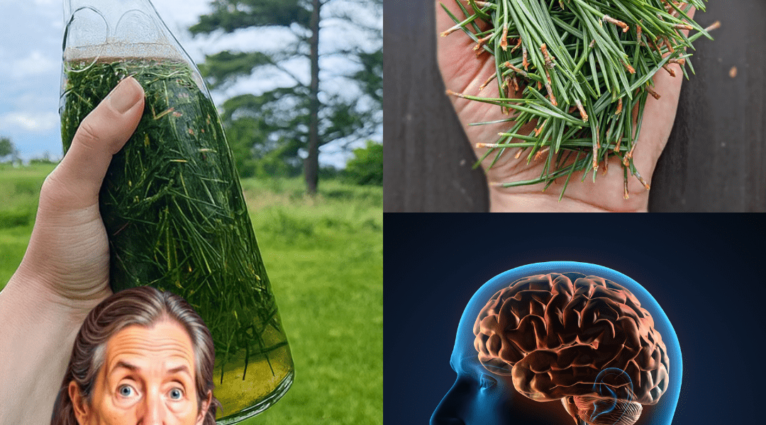 30 Astonishing Benefits and DIY Remedies to Transform Your Life 30 Astonishing Benefits and DIY Remedies to Transform Your Life