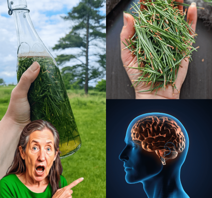 30 Astonishing Benefits and DIY Remedies to Transform Your Life 30 Astonishing Benefits and DIY Remedies to Transform Your Life