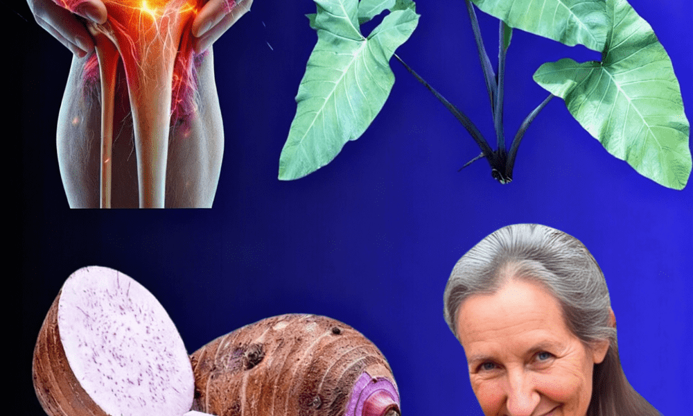 The Secret Superfood You’ve Been Overlooking The Secret Superfood You’ve Been Overlooking