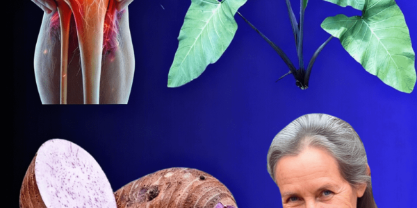 The Secret Superfood You’ve Been Overlooking The Secret Superfood You’ve Been Overlooking