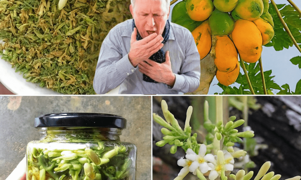 The Ultimate Health Elixir Your Family Needs The Ultimate Health Elixir Your Family Needs