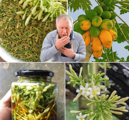 The Ultimate Health Elixir Your Family Needs The Ultimate Health Elixir Your Family Needs