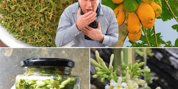 The Ultimate Health Elixir Your Family Needs The Ultimate Health Elixir Your Family Needs