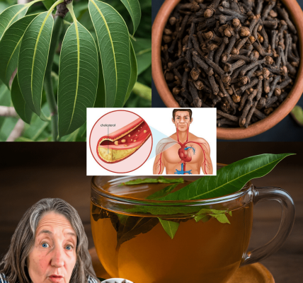 Your Daily Sip of Serenity and Wellness Your Daily Sip of Serenity and Wellness