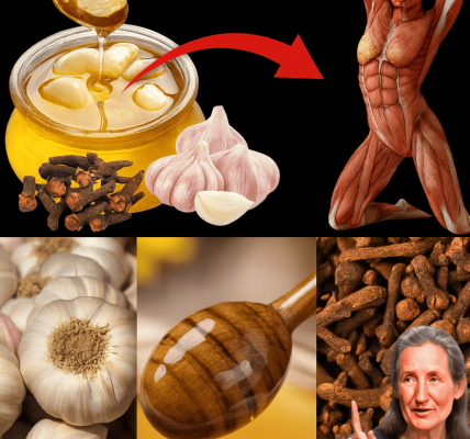 The Ginger, Clove, and Honey Elixir 🌿 The Ginger, Clove, and Honey Elixir 🌿