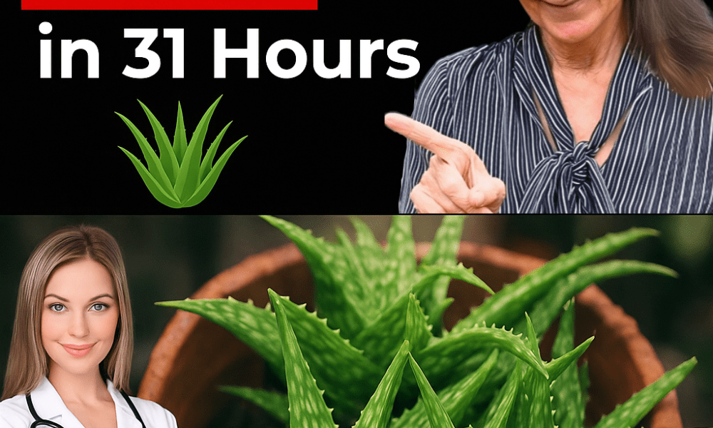 The Natural Path to Thrive Beyond Cancer The Natural Path to Thrive Beyond Cancer