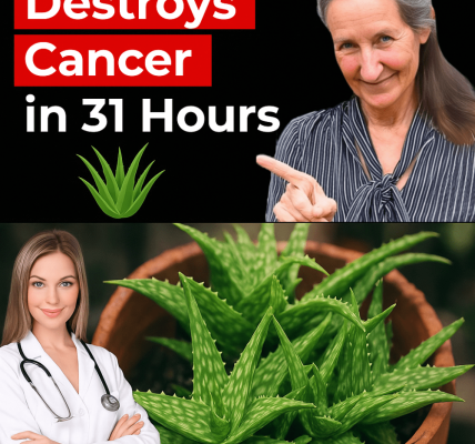 The Natural Path to Thrive Beyond Cancer The Natural Path to Thrive Beyond Cancer