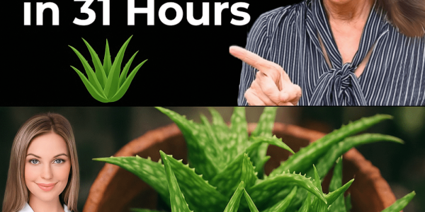 The Natural Path to Thrive Beyond Cancer The Natural Path to Thrive Beyond Cancer