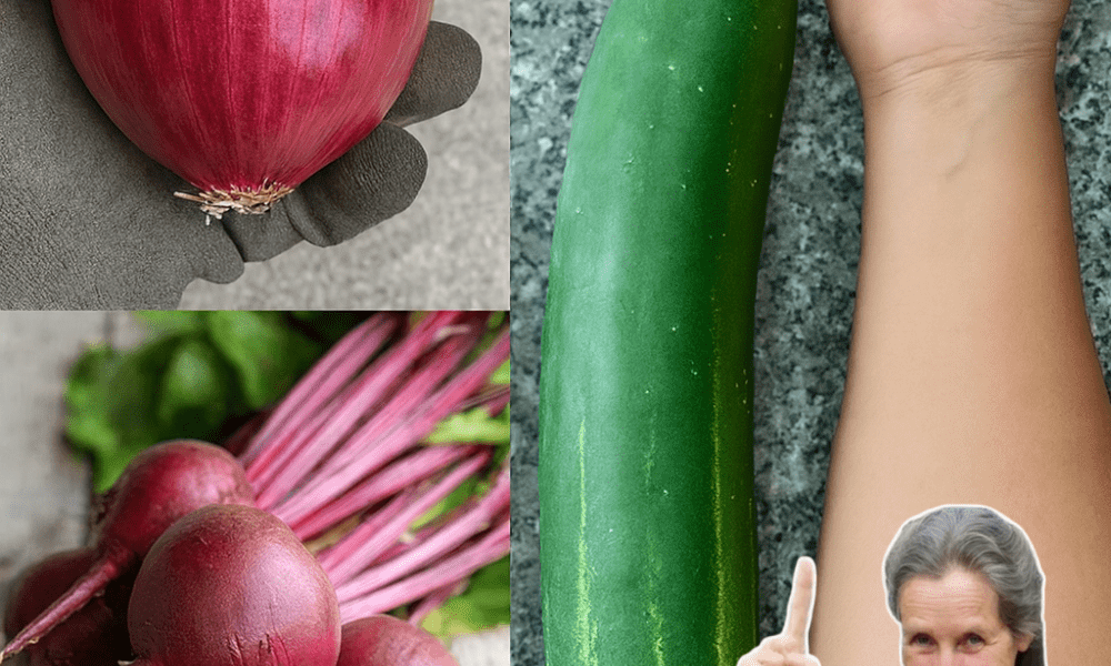 Feeling Over 45 and Drained? This Beetroot Elixir Could Be Your Secret to Boundless Energy Feeling Over 45 and Drained? This Beetroot Elixir Could Be Your Secret to Boundless Energy