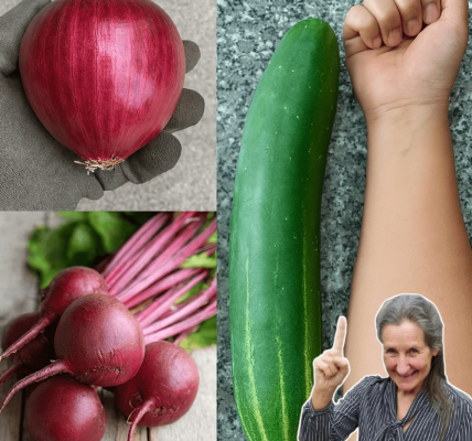 Feeling Over 45 and Drained? This Beetroot Elixir Could Be Your Secret to Boundless Energy Feeling Over 45 and Drained? This Beetroot Elixir Could Be Your Secret to Boundless Energy