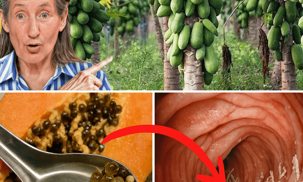 7 Life-Changing Benefits You Need to Know 7 Life-Changing Benefits You Need to Know