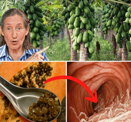 7 Life-Changing Benefits You Need to Know