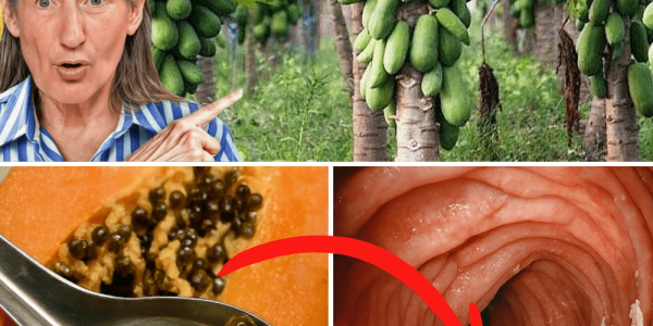 7 Life-Changing Benefits You Need to Know