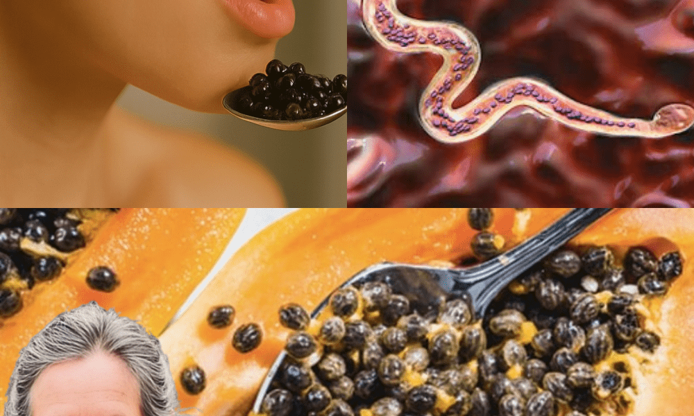 The Gut-Healing Secret You’re Throwing Away The Gut-Healing Secret You’re Throwing Away