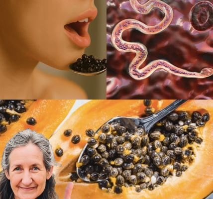 The Gut-Healing Secret You’re Throwing Away The Gut-Healing Secret You’re Throwing Away