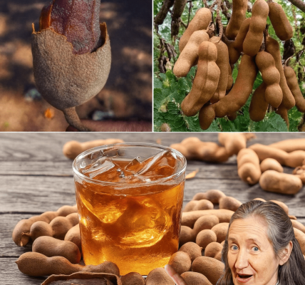 5 Irresistible Reasons to Embrace This Tropical Superfruit