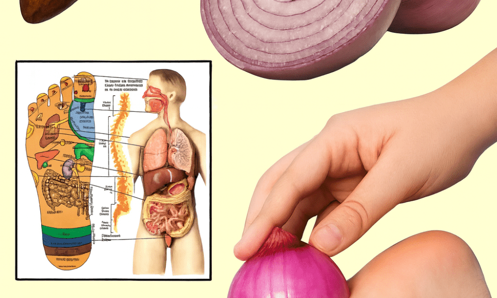 18 Ancient Onion Remedies That Could Revolutionize Your Health 18 Ancient Onion Remedies That Could Revolutionize Your Health