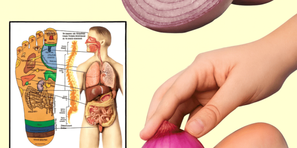 18 Ancient Onion Remedies That Could Revolutionize Your Health