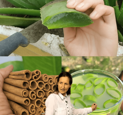 đż Discover the Natural âCancer Eliminatorâ That Could Transform Your Health đż Discover the Natural âCancer Eliminatorâ That Could Transform Your Health