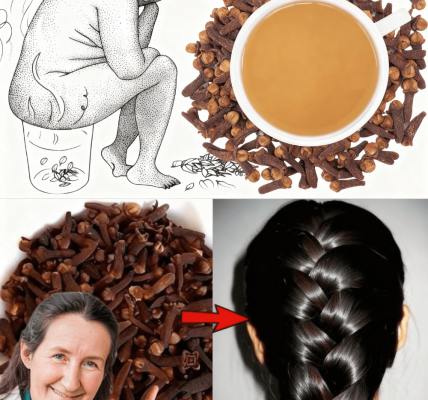 11 Life-Changing Benefits Every Woman Needs to Know 🌿✨ 11 Life-Changing Benefits Every Woman Needs to Know 🌿✨