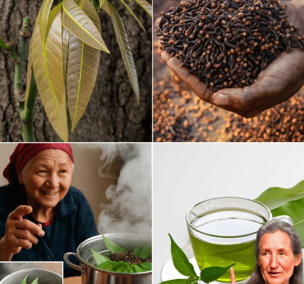 Your 2025 Wellness Elixir Your 2025 Wellness Elixir