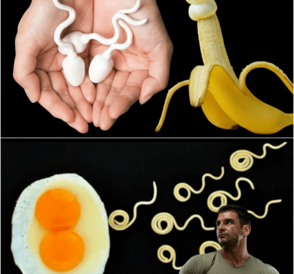 6 Powerhouse Foods to Boost Sperm Health Naturally 6 Powerhouse Foods to Boost Sperm Health Naturally