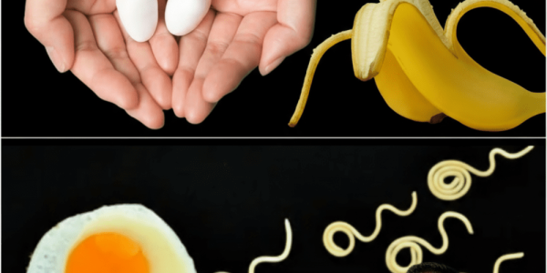 6 Powerhouse Foods to Boost Sperm Health Naturally 6 Powerhouse Foods to Boost Sperm Health Naturally