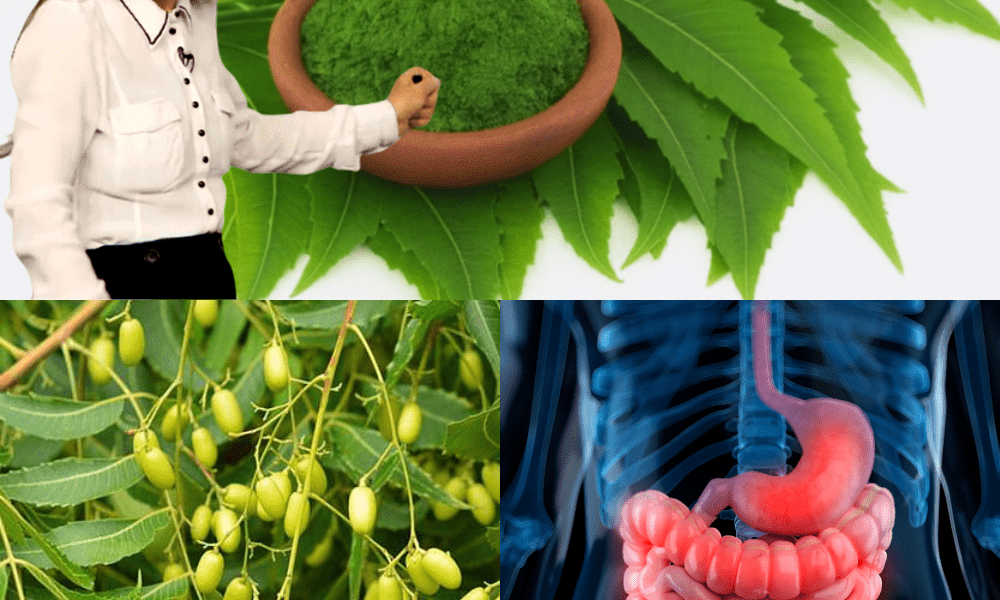 The Miracle Leaf That Transforms Your Health! The Miracle Leaf That Transforms Your Health!