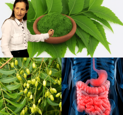 The Miracle Leaf That Transforms Your Health! The Miracle Leaf That Transforms Your Health!