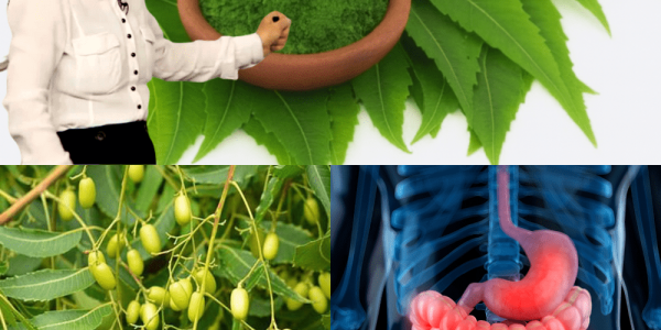 The Miracle Leaf That Transforms Your Health! The Miracle Leaf That Transforms Your Health!