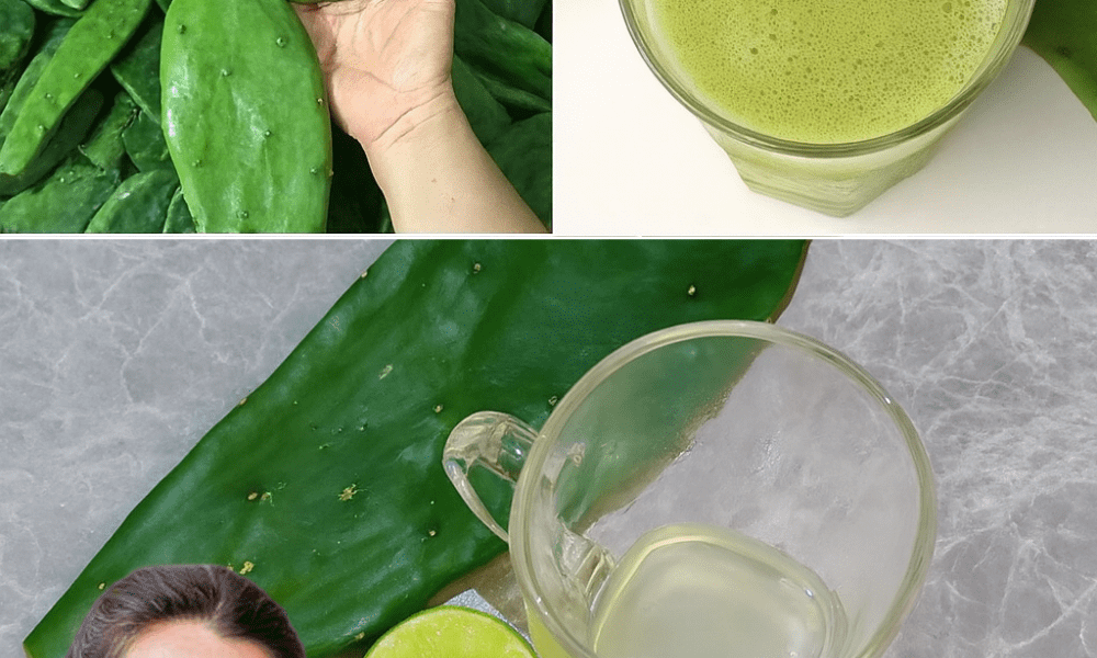 Lemon and Nopal Juice for a Healthier You in 2025 Lemon and Nopal Juice for a Healthier You in 2025