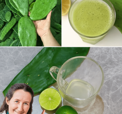 Lemon and Nopal Juice for a Healthier You in 2025 Lemon and Nopal Juice for a Healthier You in 2025
