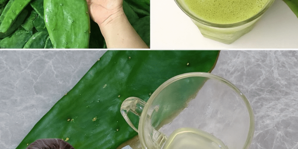 Lemon and Nopal Juice for a Healthier You in 2025