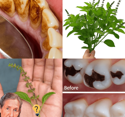 The Ancient Secret to a Healthier, Brighter Smile The Ancient Secret to a Healthier, Brighter Smile