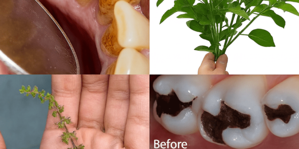 The Ancient Secret to a Healthier, Brighter Smile The Ancient Secret to a Healthier, Brighter Smile