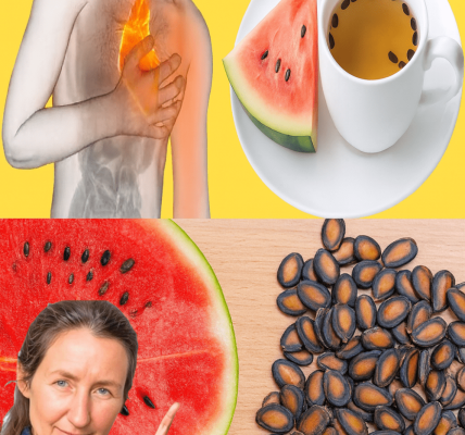 Your Secret to Vibrant Health Your Secret to Vibrant Health