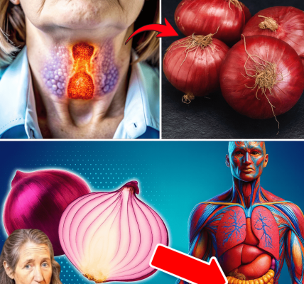 Unlock Nature’s Hidden Health Gem! 🧅 Unlock Nature’s Hidden Health Gem! 🧅