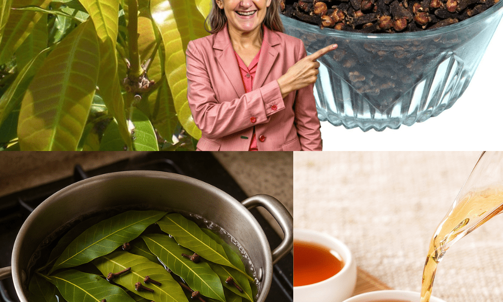 Your New Wellness Elixir!