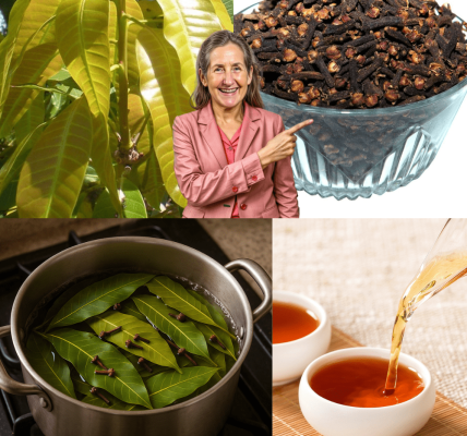 Your New Wellness Elixir! Your New Wellness Elixir!