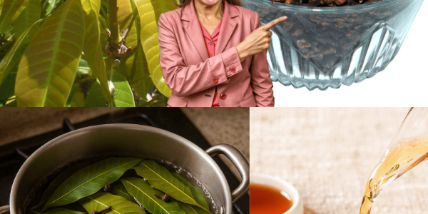 Your New Wellness Elixir! Your New Wellness Elixir!