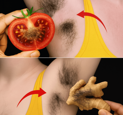 The Hidden Gem of Ancient Healing with Modern Benefits The Hidden Gem of Ancient Healing with Modern Benefits