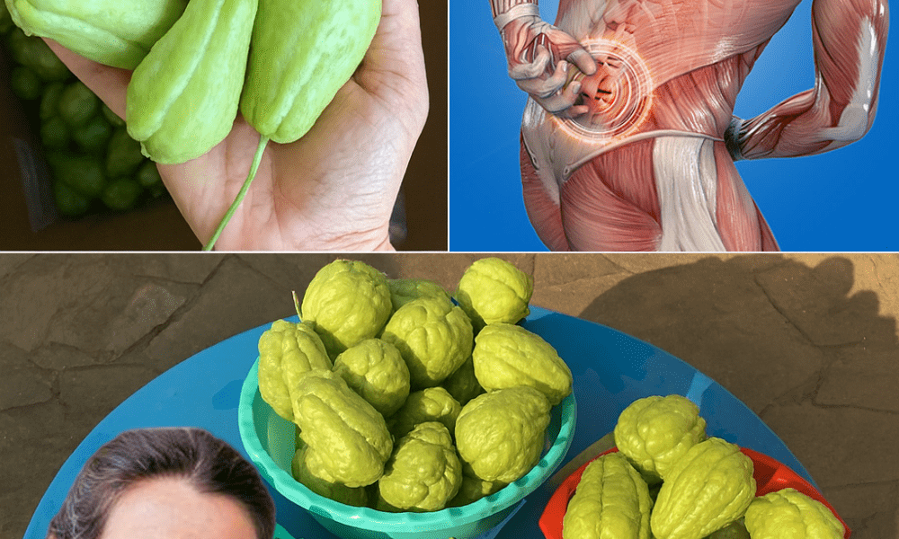 Discover Chayote’s Secret to Pain-Free, Vibrant Living! Discover Chayote’s Secret to Pain-Free, Vibrant Living!