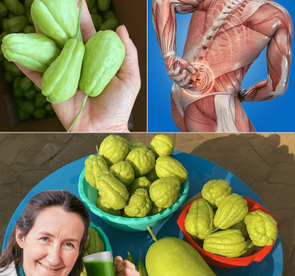 Discover Chayote’s Secret to Pain-Free, Vibrant Living!
