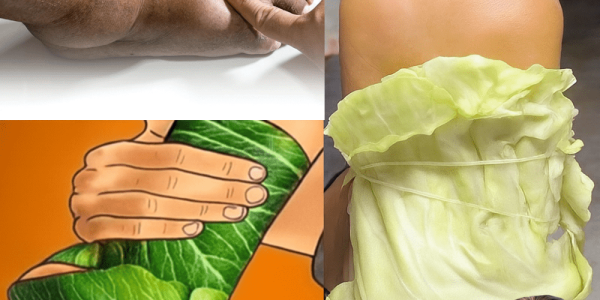 Nature’s Ancient Secret for Soothing Pain and Inflammation! 🌿✨