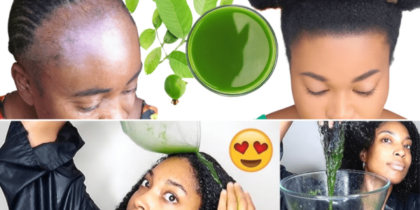 Your Natural Hair Care Revolution Your Natural Hair Care Revolution