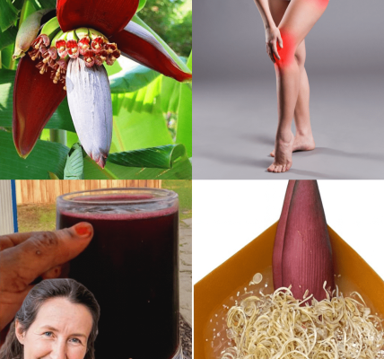 7 Mind-Blowing Ways Banana Blossoms Can Transform Your Health After 50 7 Mind-Blowing Ways Banana Blossoms Can Transform Your Health After 50