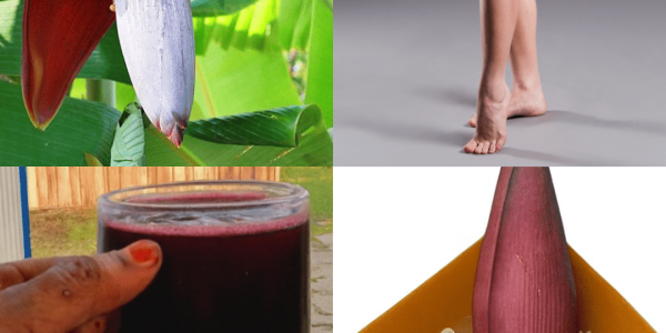 7 Mind-Blowing Ways Banana Blossoms Can Transform Your Health After 50 7 Mind-Blowing Ways Banana Blossoms Can Transform Your Health After 50